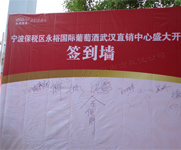 湖北武漢背景幕布