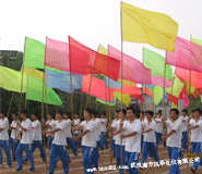 湖北武漢彩旗幟訂制制作廠家 湖北武漢彩旗幟訂制制作廠家